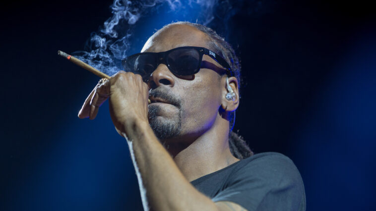 hip-hop-star-snoop-dogg-says-bitcoin-‘here-to-stay’—-lauds-nfts-for-creating-direct-connection-between-artists-and-fans