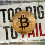 economist-says-bitcoin-isn’t-too-big-to-fail-—-warns-btc-can-only-establish-itself-if-governments-allow-it