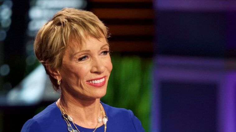 shark-tank’s-barbara-corcoran-advocates-getting-rich-by-investing-in-real-estate,-not-cryptocurrencies