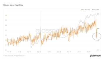 despite-hash-rate-drop,-surge-in-transaction-fees,-bitcoin-is-resilient