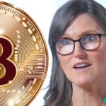 ark-invest-ceo-says-impossible-to-shut-down-bitcoin-—-regulators-will-become-more-friendly-over-time