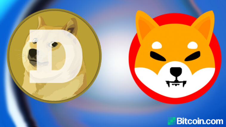 shib-vs.-doge-–-who-is-the-top-dog-in-crypto-land?