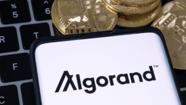 algorand-virtual-machine-available-in-latest-protocol-update