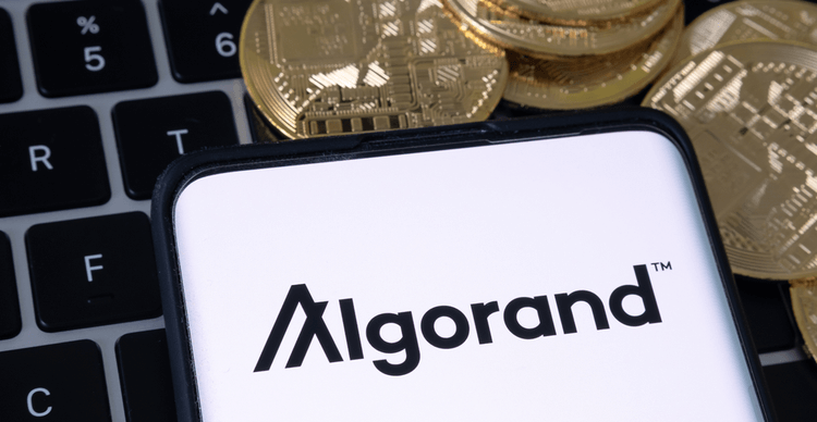 algorand-virtual-machine-available-in-latest-protocol-update