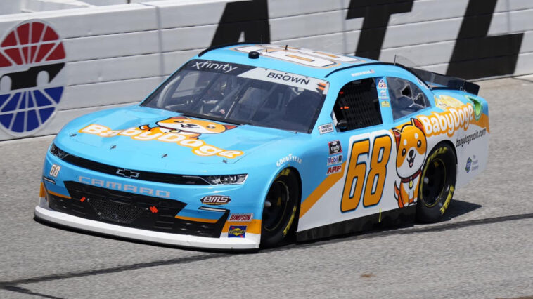 baby-doge-sheds-over-40%-this-week-despite-nascar-debut-and-animal-shelter-donation