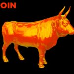 why-you-should-be-bullish-on-bitcoin