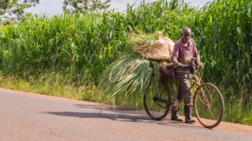 kenyan-farmers-pivot-to-cryptocurrency-as-popularity-of-community-currencies-grows