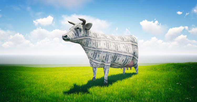 where-to-buy-cashcow-finance:-ccf-clocks-150%-daily-gains