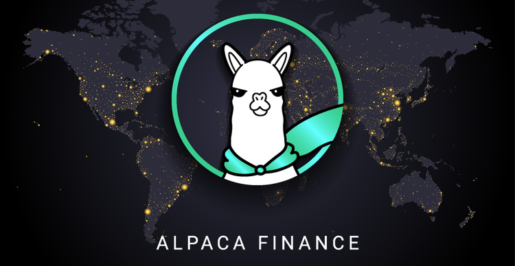 where-to-buy-alpaca-finance:-alpaca-transactions-skyrocket