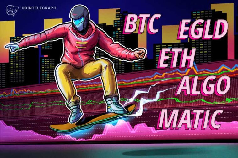 top-5-cryptocurrencies-to-watch-this-week:-btc,-eth,-matic,-algo,-egld