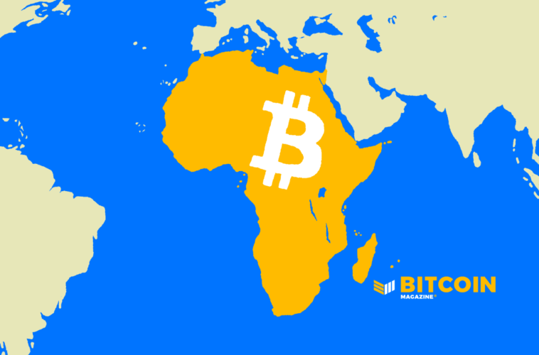 non-profit-₿trust-is-funding-new-bitcoin-developers-in-africa