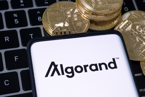 algorand-risks-fresh-new-bottom-as-weakness-persists-after-a-failed-breakout