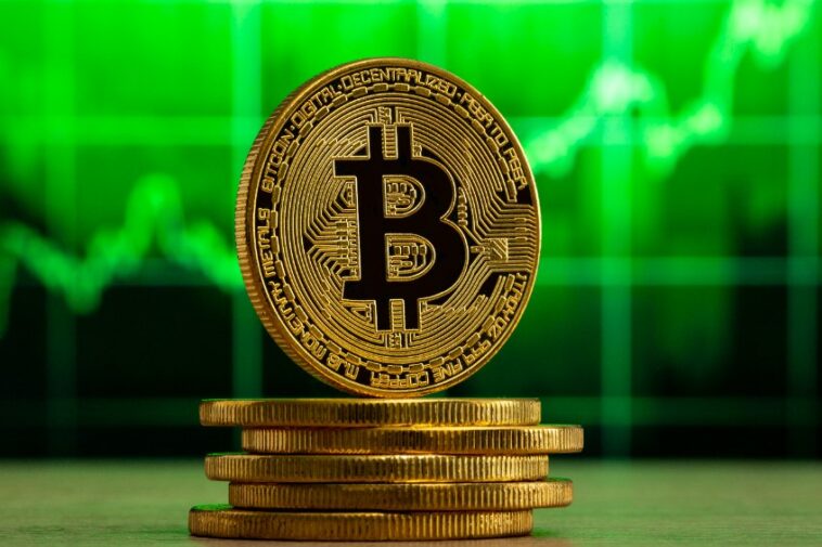 bitcoin-price:-peter-brandt-suggests-possible-bottom-for-btc