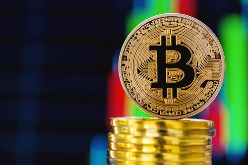 bitcoin-interest-surged-in-2022-despite-‘crypto-winter’:-report