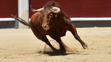 bitcoin’s-on-chain-metrics-are-flipping-bullish:-bitfinex-report