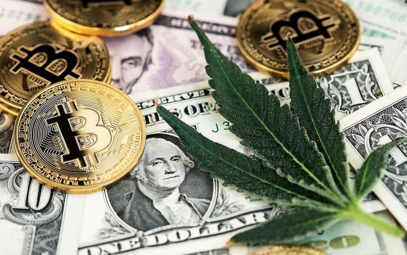 CBD and Cryptocurrency: The Parallels Between the Two Industries bitcoin cannabis