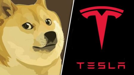 tesla dogecoin