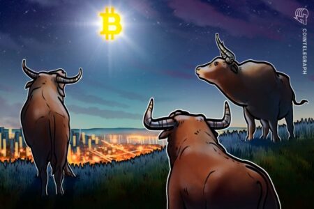 Bitcoin still lacks this on-chain signal for BTC bull market — David Puell bitcoin-still-lacks-this-on-chain-signal-for-btc-bull-market-—-david-puell